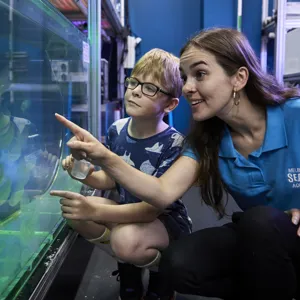 SLMA Jelly Lab Experience (5)