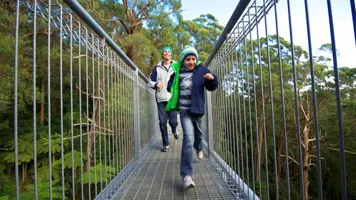 Treetop Walk Experience