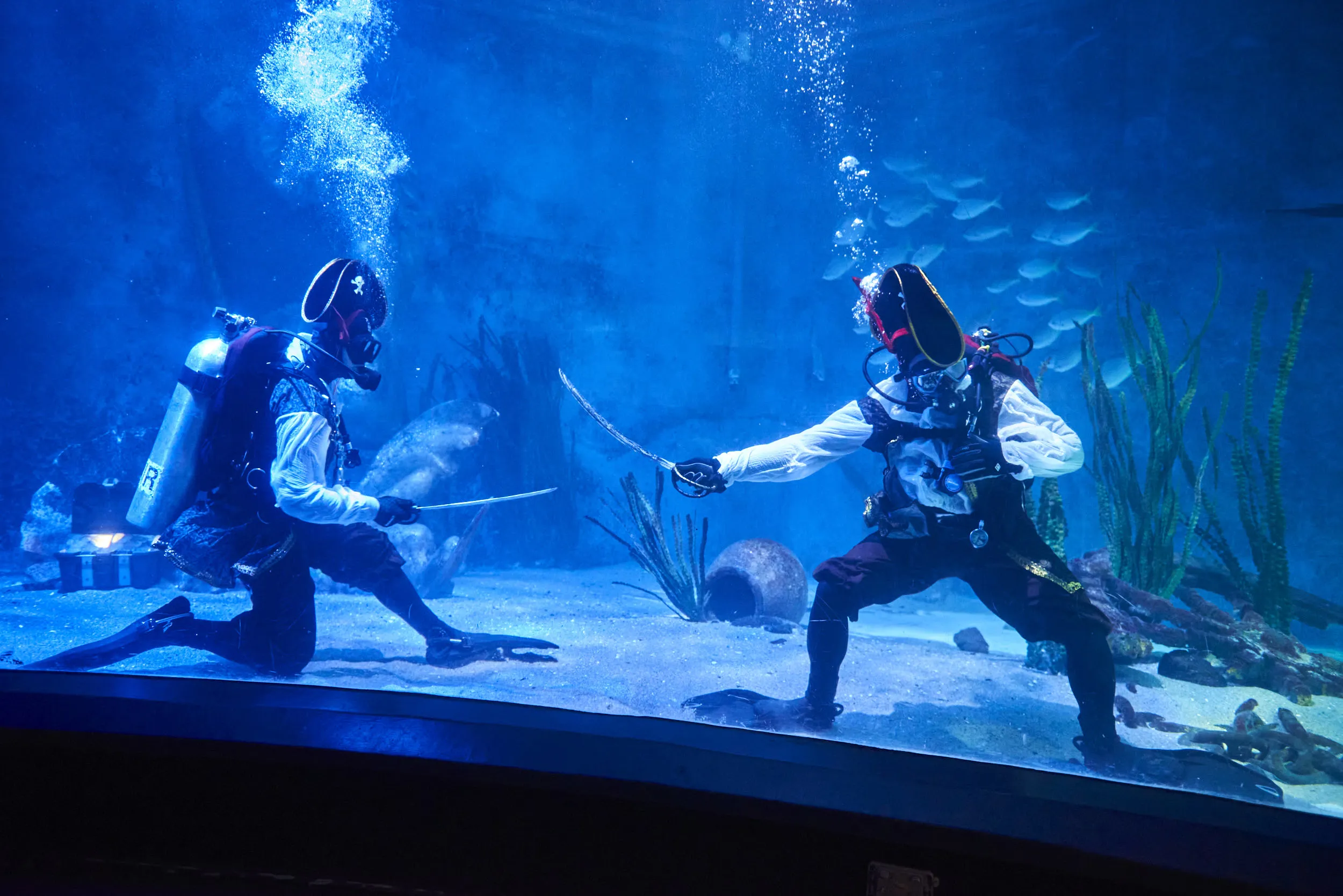 SLMA Pirate Treasure Hunt (9)