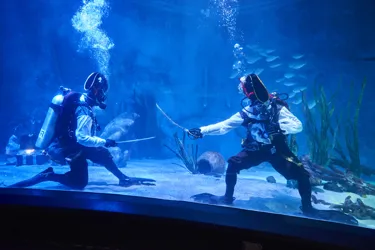 SLMA Pirate Treasure Hunt (9)