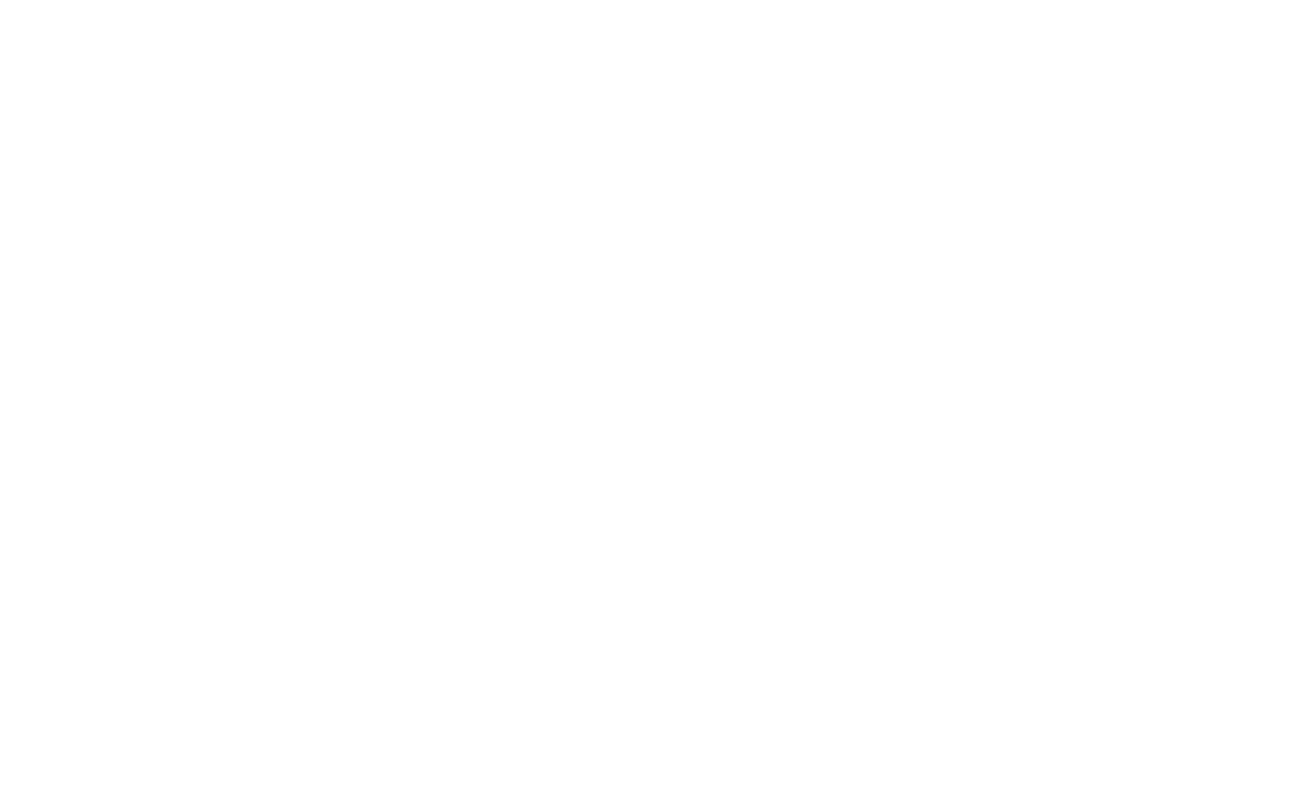 IFLY Logo White T2