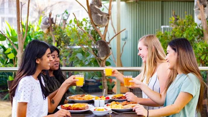 Koala Breakfast 2