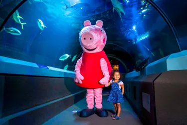 PEPPA PIG SLSC