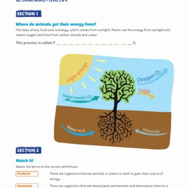 Food Webs Screenshot Stage 2