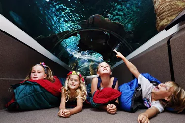 SLSC Sleepover Kids In Ocean Tunnel