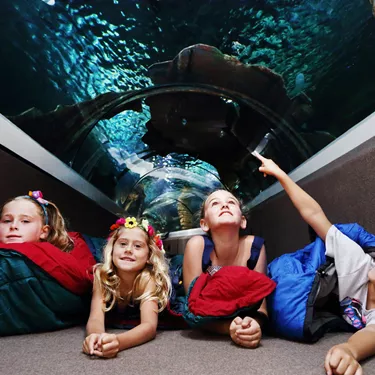 SLSC Sleepover Kids In Ocean Tunnel