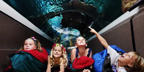 SLSC Sleepover Kids In Ocean Tunnel