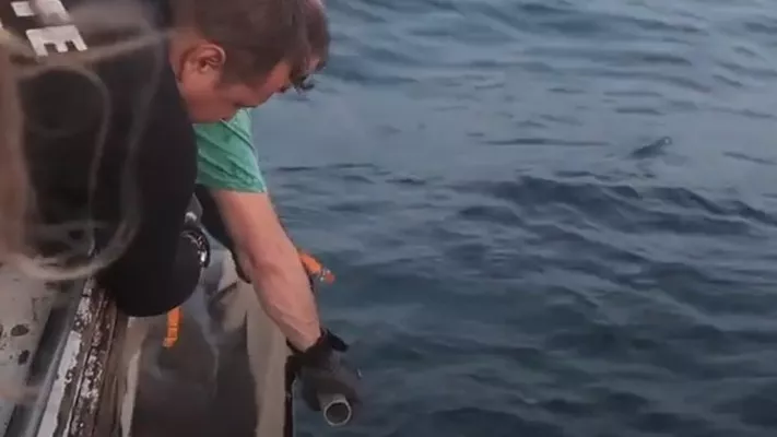 Shark Rescue