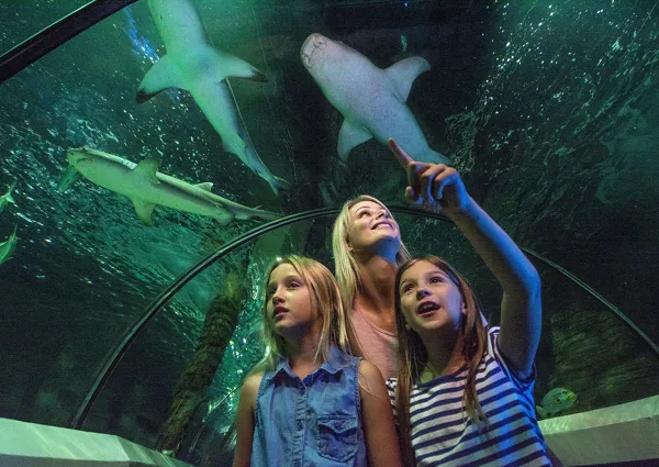 SLSC Oceanarium (2)