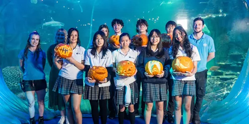 Students, Teacher And Aquarists With Pumpkins