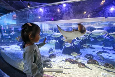 SLKTA Kids At The Aquarium (6)