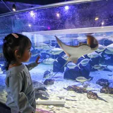 SLKTA Kids At The Aquarium (6)
