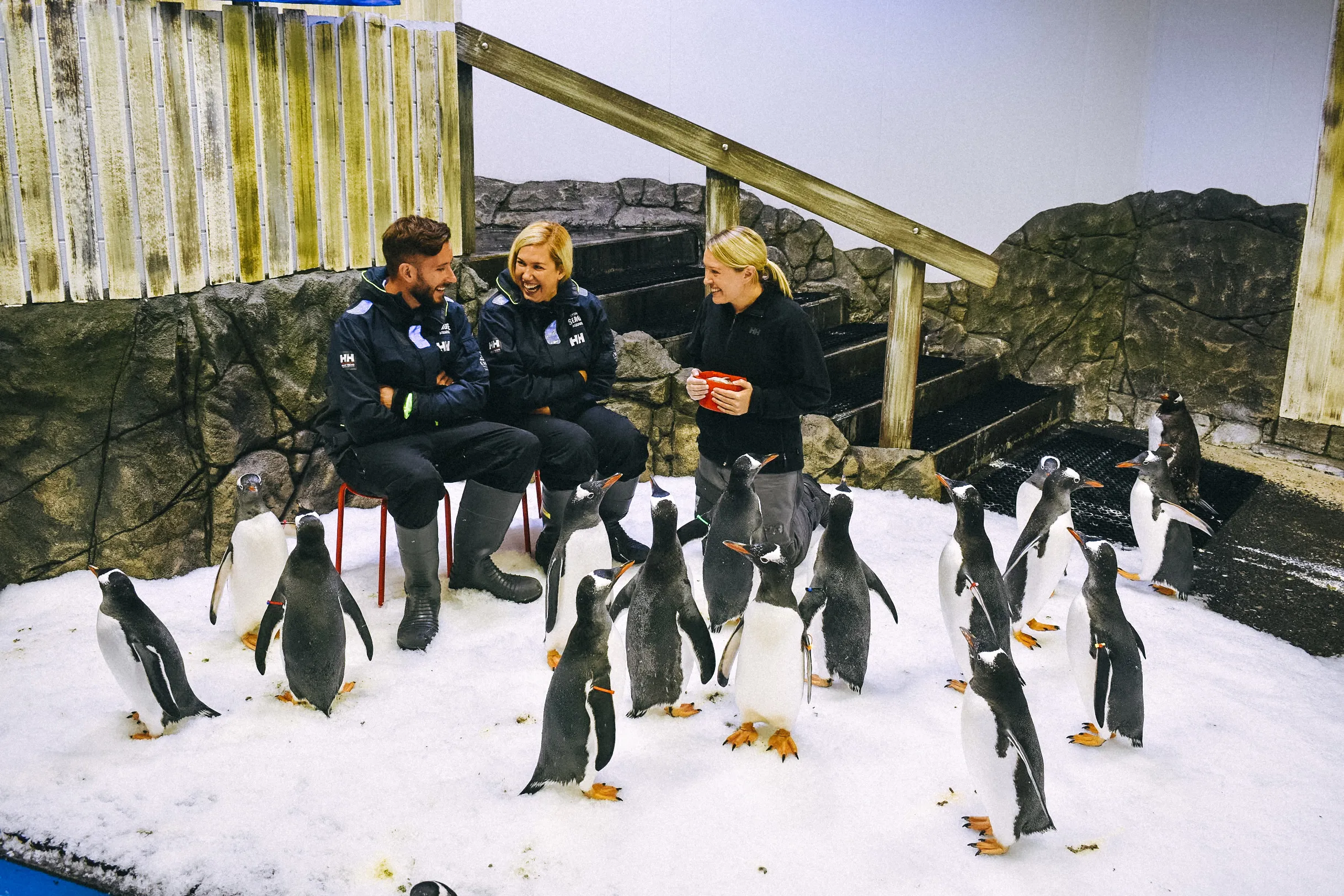 people sitting in chairs with penguins