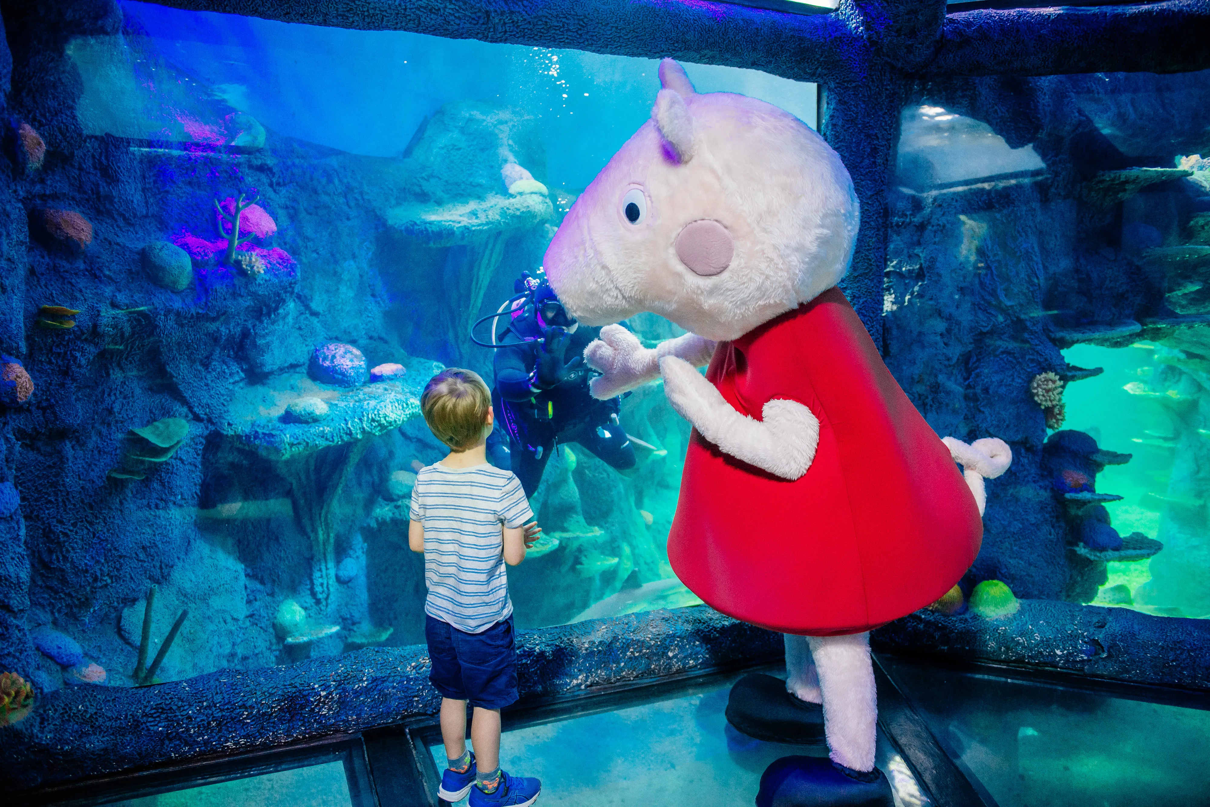 Peppapigsealifesydney