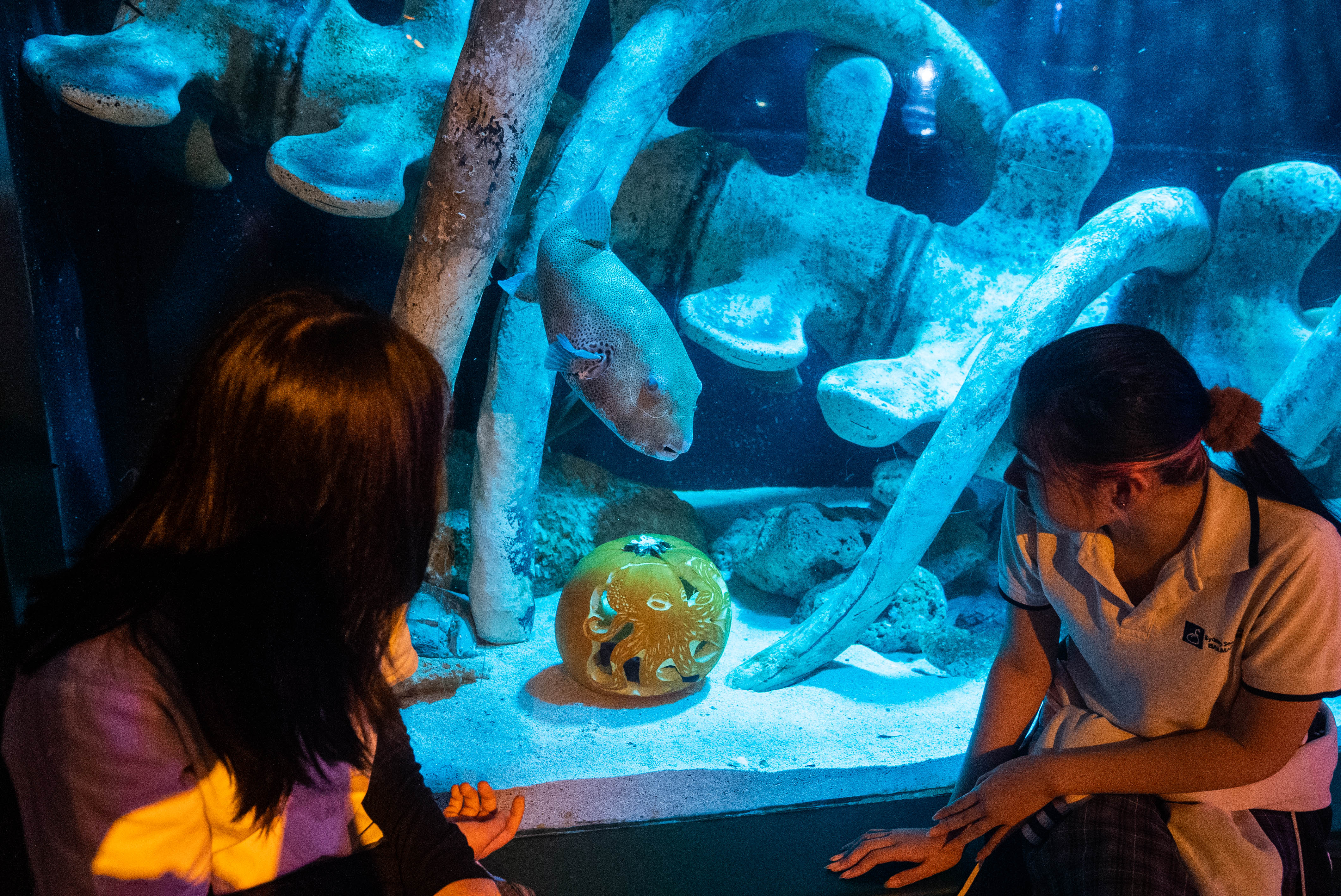 Students (L To R Katherine & Supitsara) Admiring Mr Puff The Starry Puffer