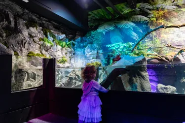 SLKTA Sea Cave Adventure (22)