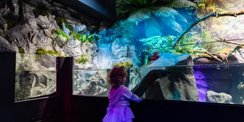 SLKTA Sea Cave Adventure (22)