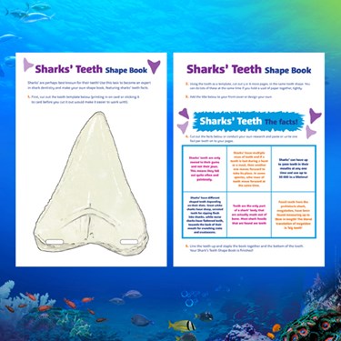 T&T Sharkteethshapebook500x500