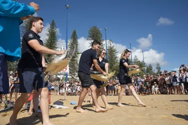 SLSC Jan23 Turtle Release 20230123 07