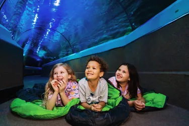 SLSC Sleepover (5)