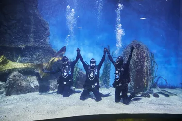 HPATCC At SEA LIFE Melbourne (11)