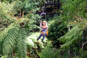 Woman On Zipline 1