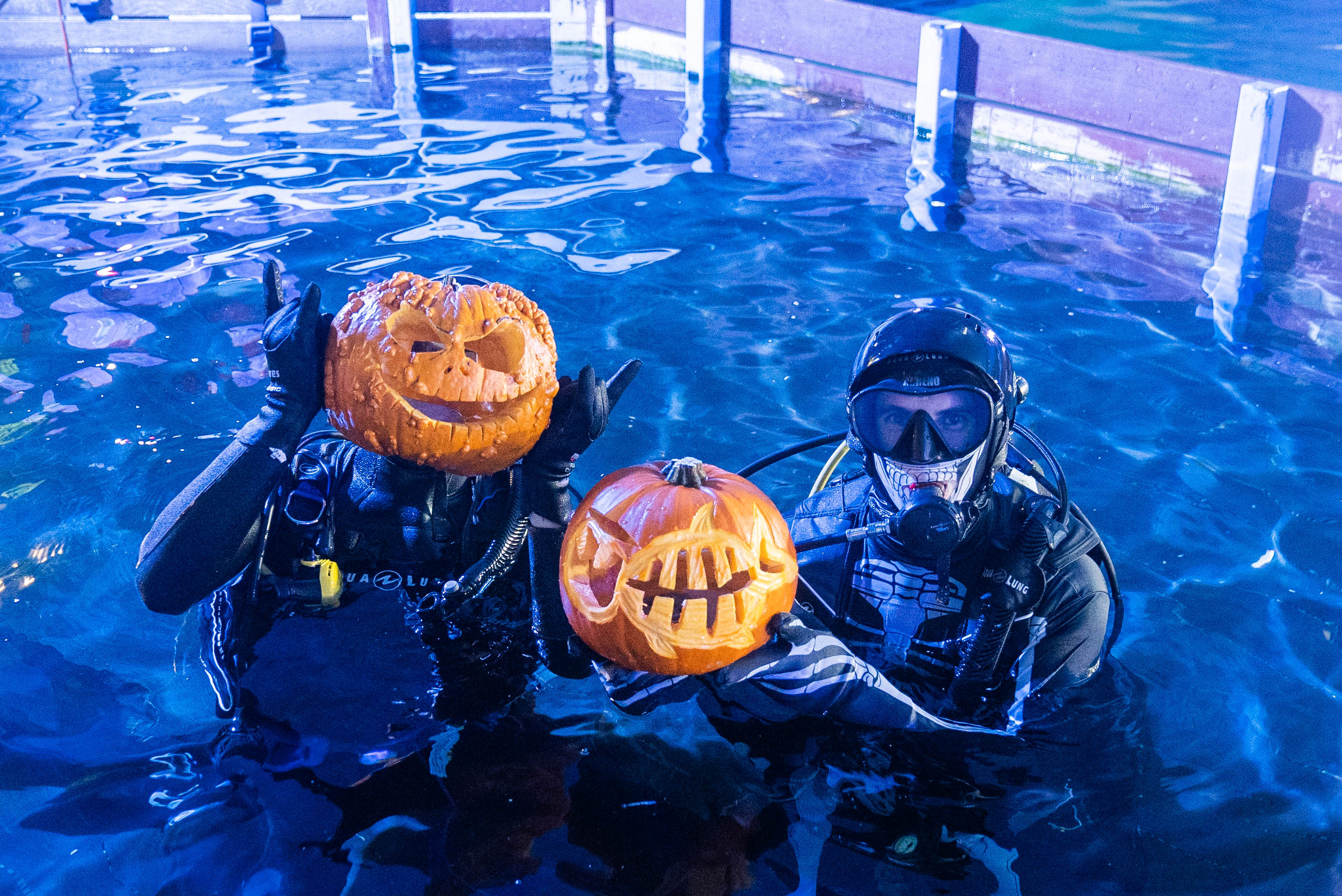 Divers (L To R Mitch Thornton & Tom Burd) Prepare To Dive With Pumpkins