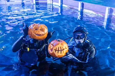 Divers (L To R Mitch Thornton & Tom Burd) Prepare To Dive With Pumpkins