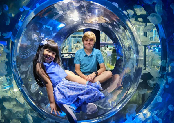 SLMA Ocean Invaders Chloe Haryadi & Sebi Roberts (1)