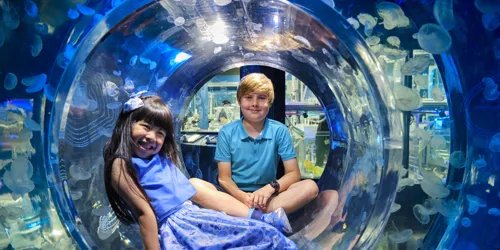 SLMA Ocean Invaders Chloe Haryadi & Sebi Roberts (1)