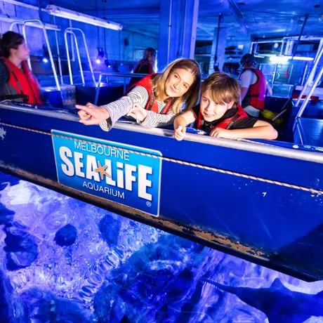 Glass Bottom Boat