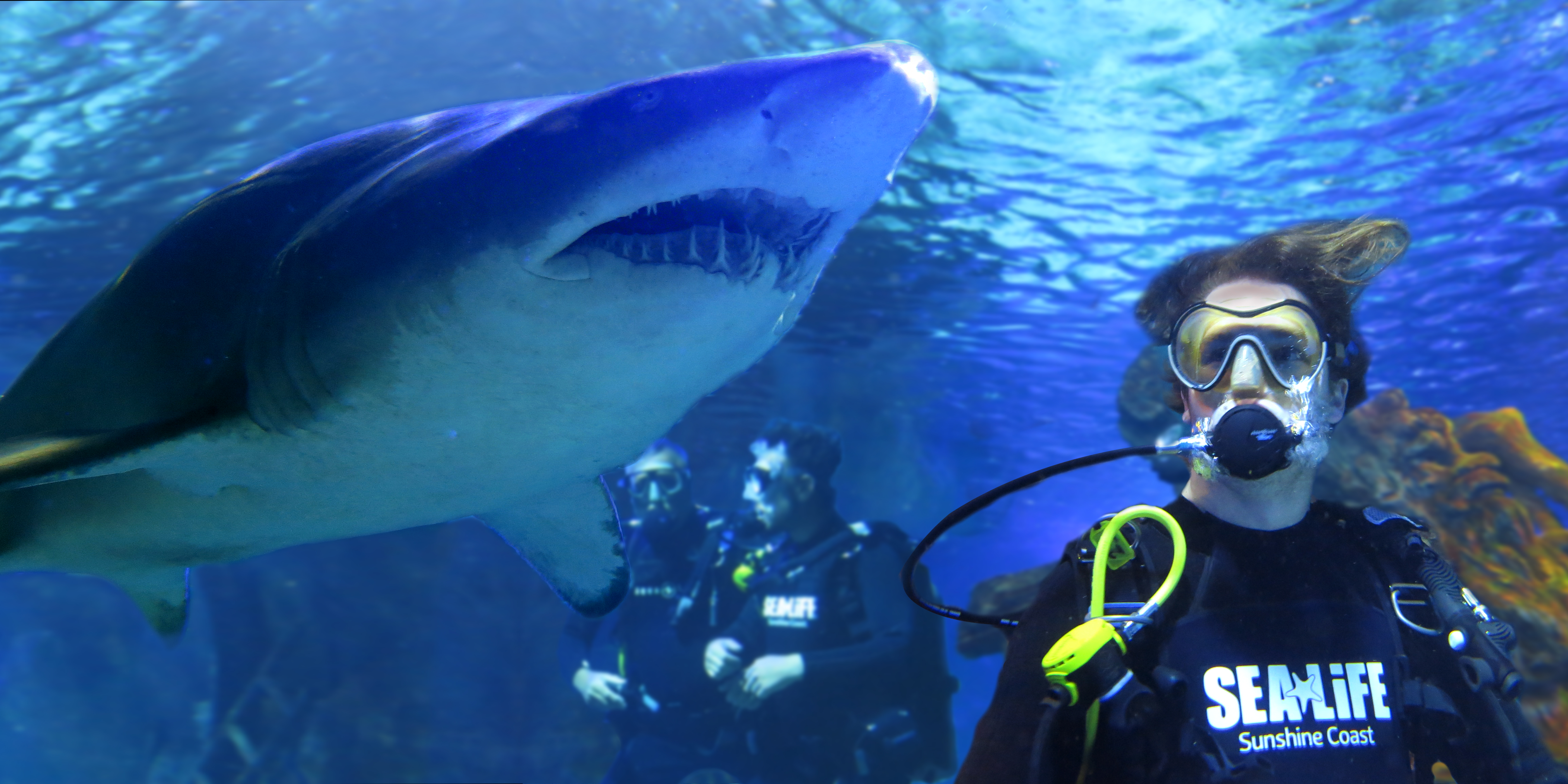 SLSC Shark Dive Xtreme