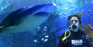 SLSC Shark Dive Xtreme