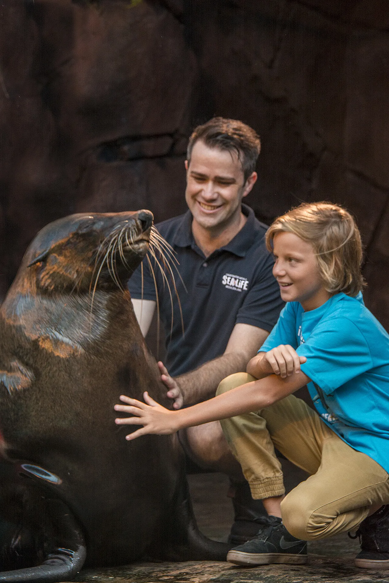 SLSC Seal Encounter