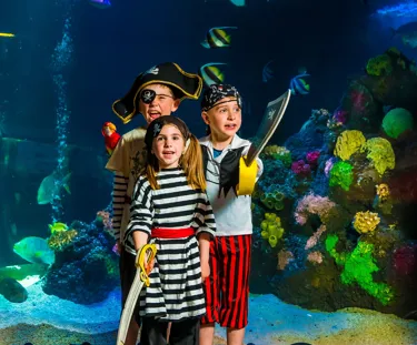 SLMA Pirate Treasure Hunt (Landscape)