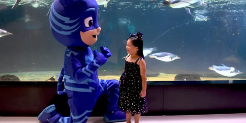 SLMA PJ Masks (26)