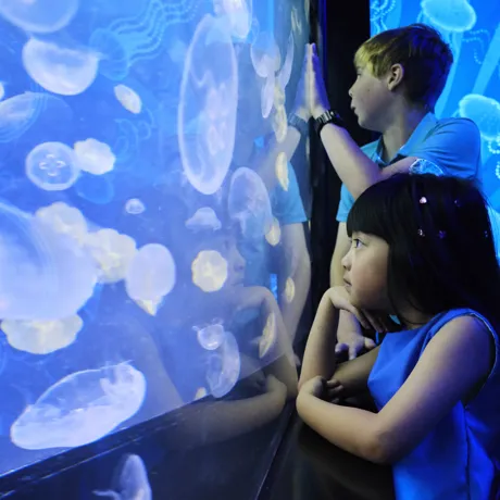 SLMA Ocean Invaders (12)