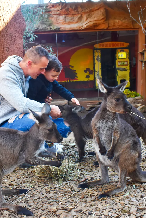 Our Attractions Merlin Annual Pass Australia New Zealand our-attractions-merlin-annual-pass-australia-new-zealand