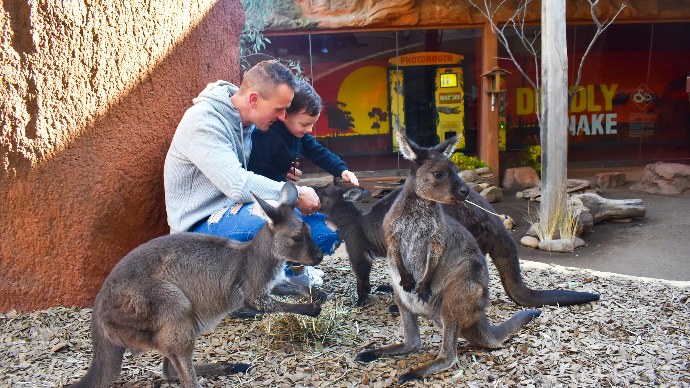 WILD LIFE Sydney Zoo Merlin Annual Pass