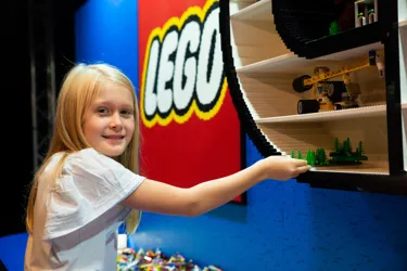 Web Brickmancities@SLSC07