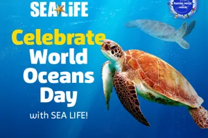 EDU Worldoceansday Edm